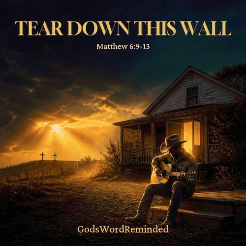 Tear Down This Wall cover art